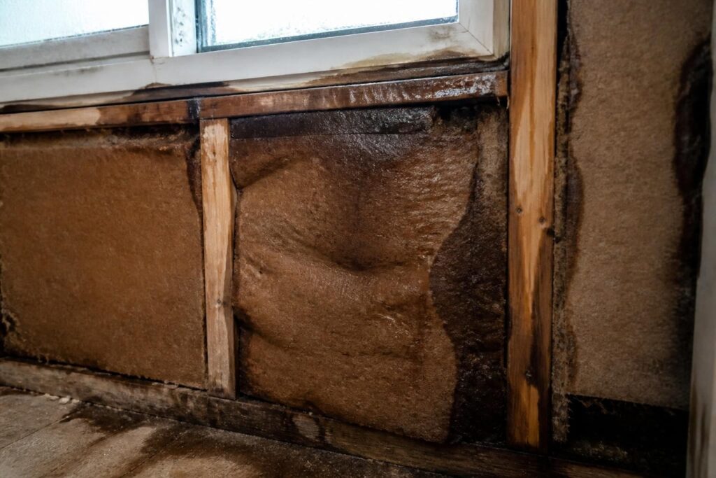 découvrez pourquoi vos panneaux steico gonflent après une infiltration d'eau et comment prévenir ce problème pour assurer la durabilité et l'efficacité de votre isolation.
